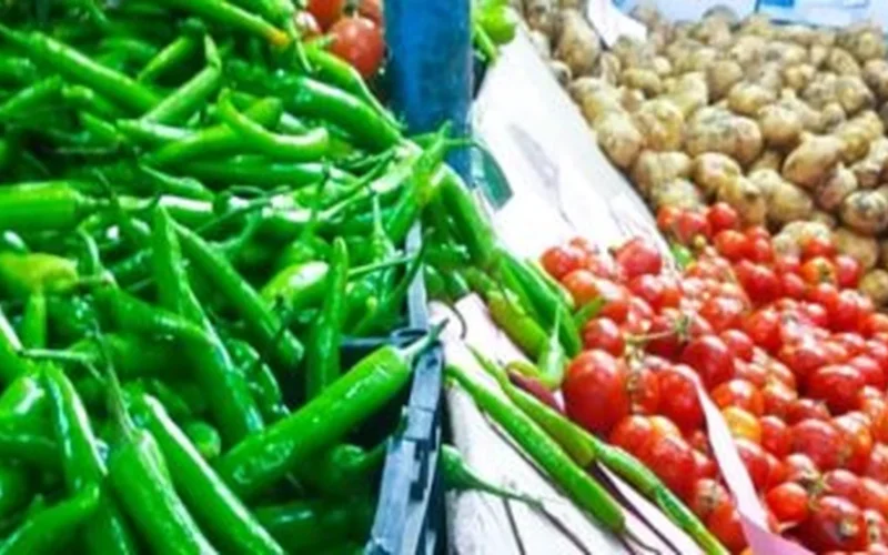 أسعار الطماطم والخضراوات اليوم في أسواق الأقصر والمحلات